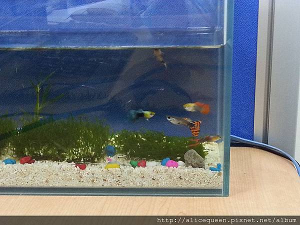 2014-04-28 14.36.39.jpg