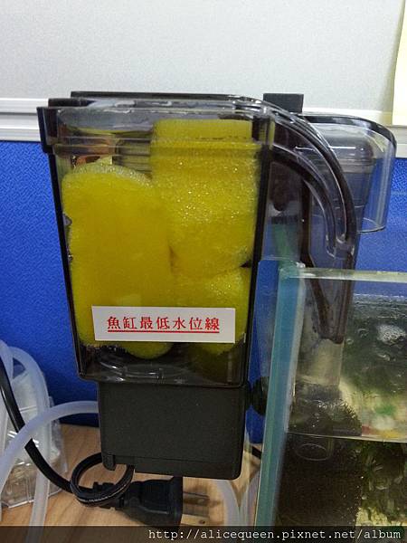 2014-04-30 10.54.16.jpg