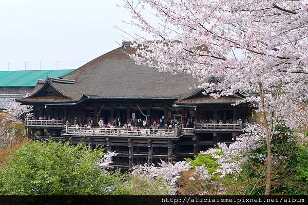 京都 清水寺 進入大整修的世界遺產 日本 私旅行 痞客邦