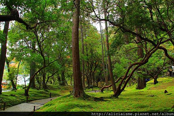 京都 世界遺產 西芳寺 苔寺 及明信片預約方式 日本 私旅行 痞客邦