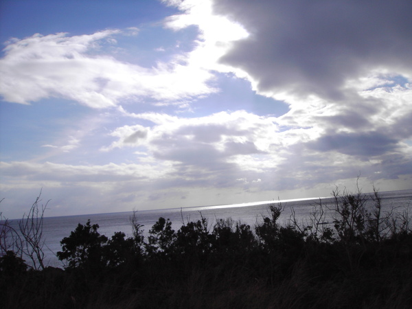 PICT0086.JPG PICT0086.JPG