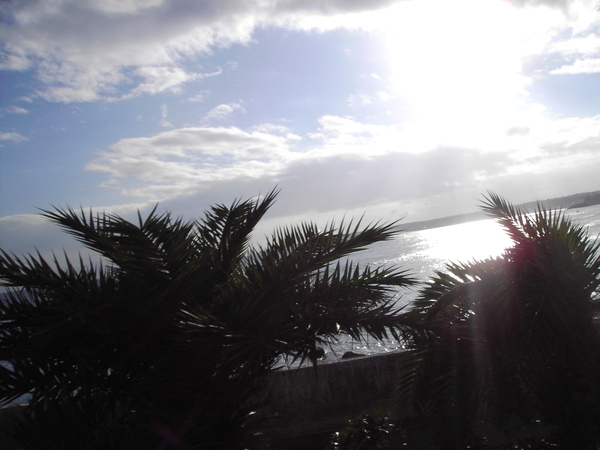 PICT0094.JPG PICT0094.JPG