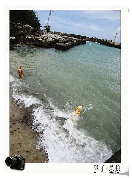 IMG_0001.JPG IMG_0001.JPG