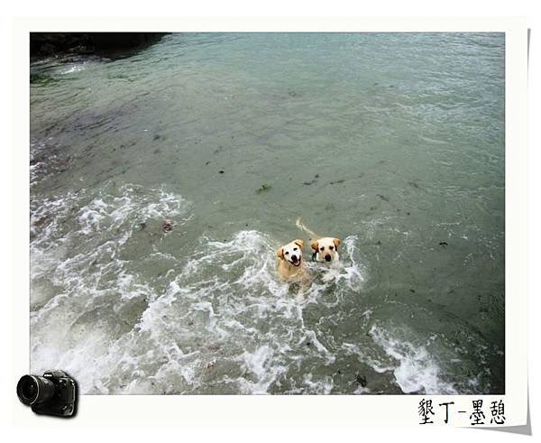 IMG_0003.JPG IMG_0003.JPG