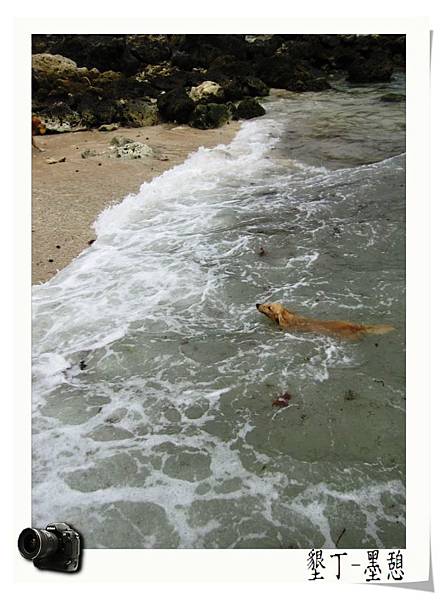 IMG_0004.JPG IMG_0004.JPG