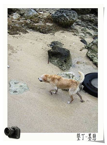 IMG_0005.JPG IMG_0005.JPG