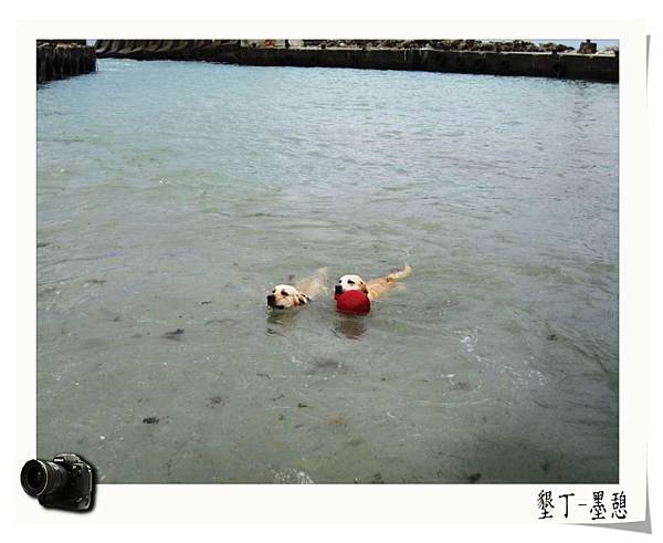 IMG_0006.JPG IMG_0006.JPG