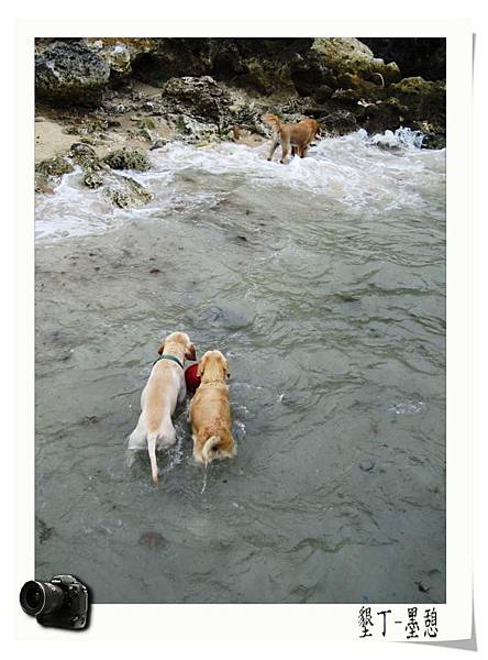 IMG_0007.JPG IMG_0007.JPG