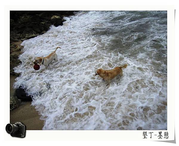 IMG_0008.JPG IMG_0008.JPG