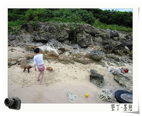 IMG_0009.JPG IMG_0009.JPG