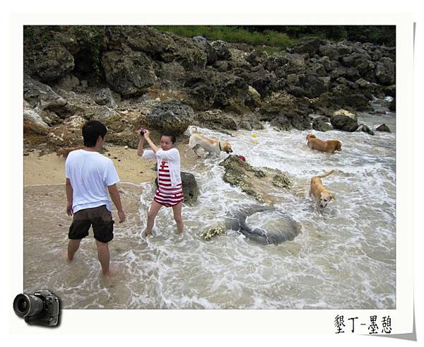 IMG_0010.JPG IMG_0010.JPG