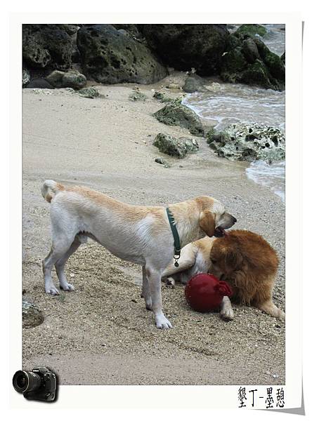 IMG_0011.JPG IMG_0011.JPG