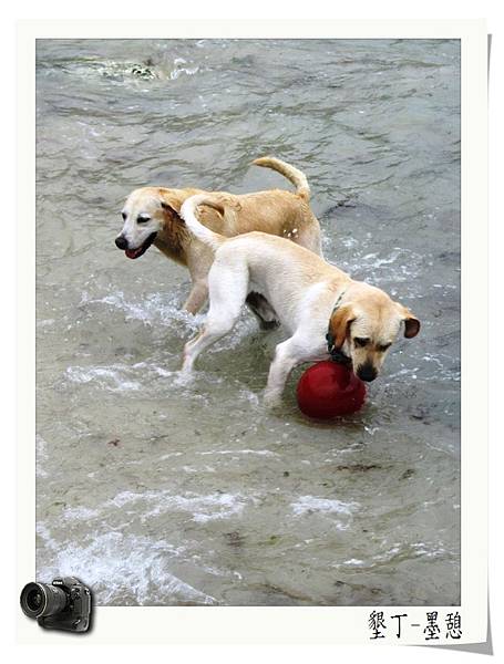 IMG_0012.JPG IMG_0012.JPG