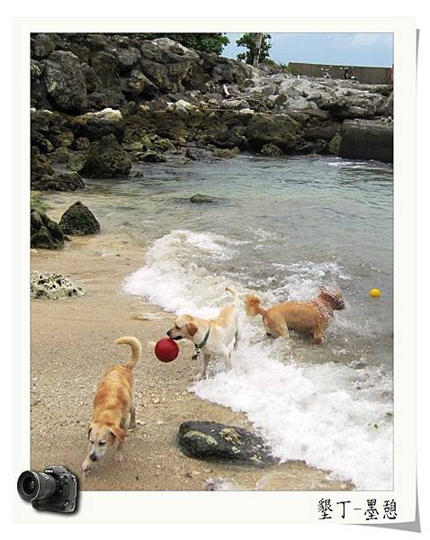 IMG_0013.JPG IMG_0013.JPG