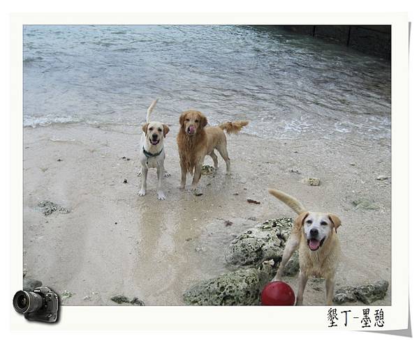 IMG_0014.JPG IMG_0014.JPG