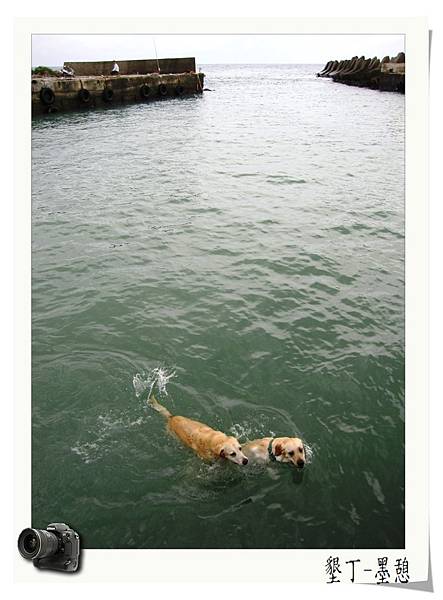 IMG_0015.JPG IMG_0015.JPG