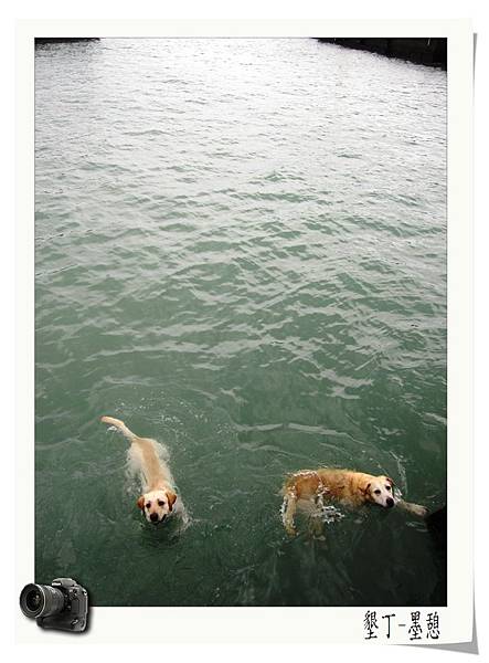 IMG_0016.JPG IMG_0016.JPG