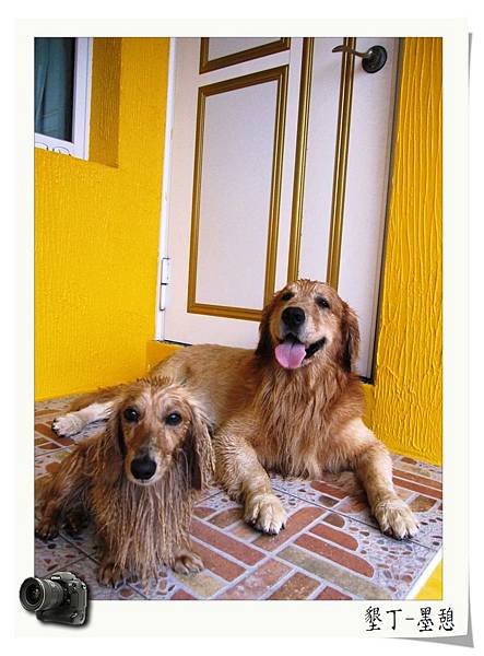 IMG_0017.JPG IMG_0017.JPG