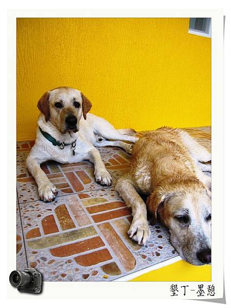 IMG_0018.JPG IMG_0018.JPG