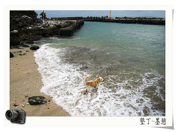 IMG_0002.JPG IMG_0002.JPG