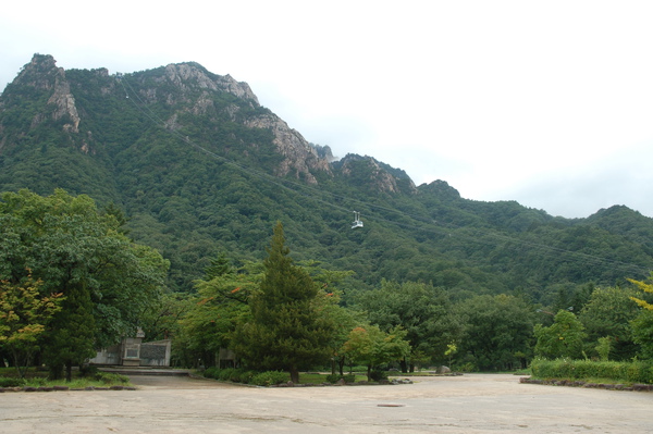 DSC_0101.JPG DSC_0101.JPG