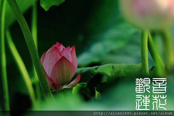 http://pic.pimg.tw/allen1680/1309630535-b33b737fcc084689a8c6f0e72128c99d_n.jpg