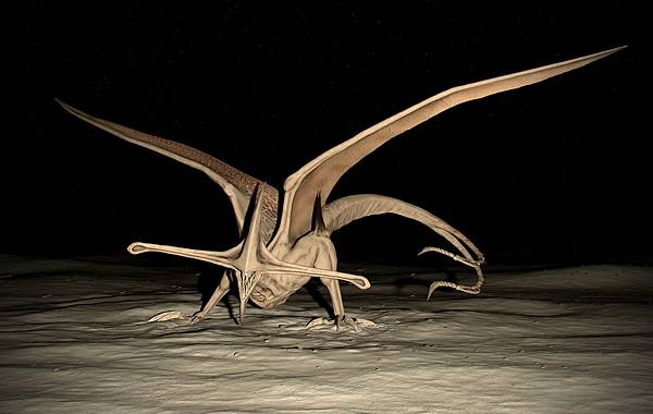 hammerheadfinal.jpg hammerheadfinal.jpg