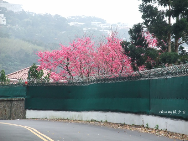 DSCF4965.JPG DSCF4965.JPG