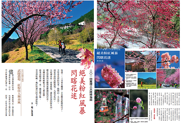 彙整櫻花.png 彙整櫻花.png