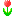 061.gif 061.gif