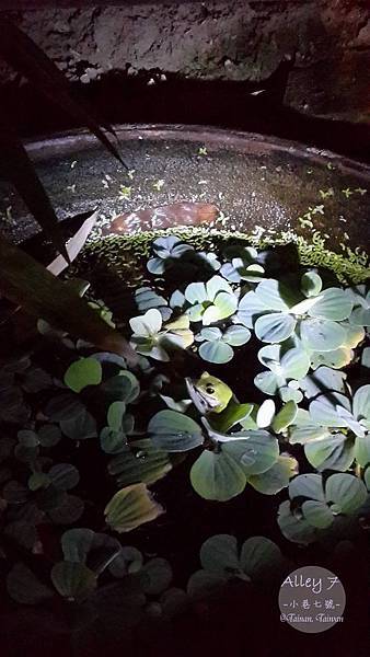 10546999_822281641179824_2635767787072789598_o