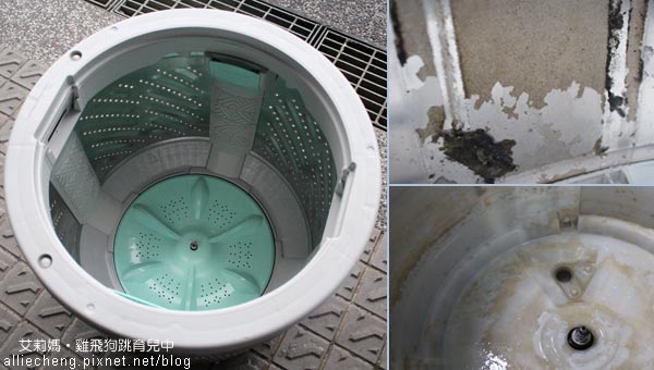 艾莉媽到府清洗衣機1.jpg 1.jpg