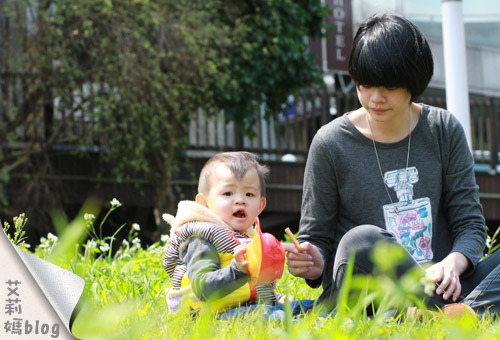 IMG_2627 IMG_2627