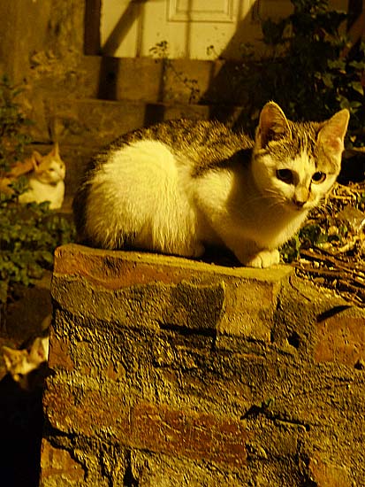 Day352.jpg Day352.jpg