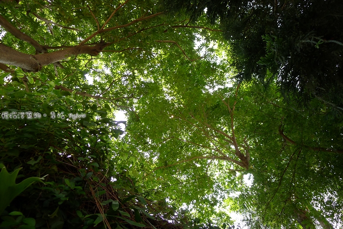 P1000701