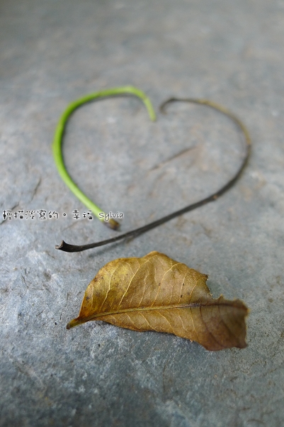 P1010032
