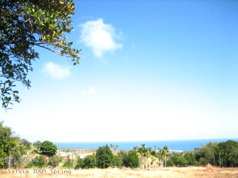 IMG_1764.jpg IMG_1764.jpg