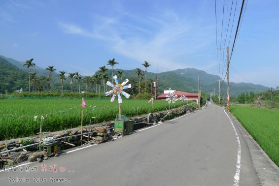 P1020460.jpg P1020460.jpg