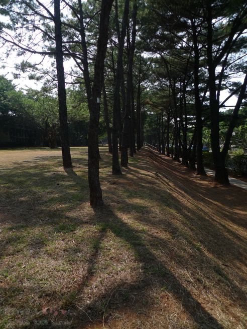 P1040740.jpg P1040740.jpg