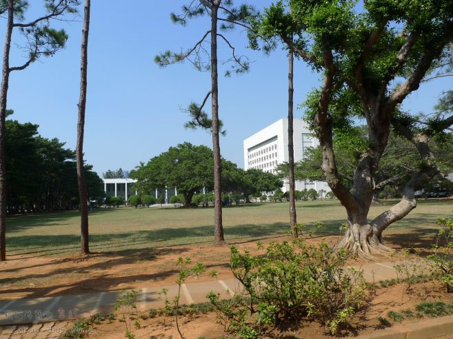 P1040752.jpg P1040752.jpg