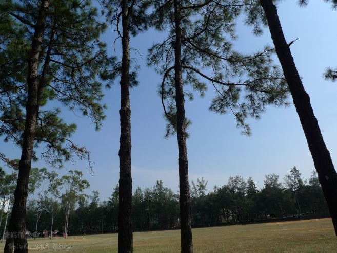 P1040757.jpg P1040757.jpg