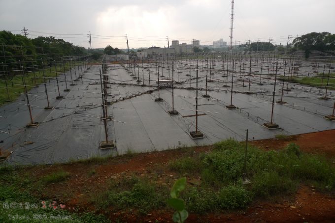 P1050581.jpg P1050581.jpg