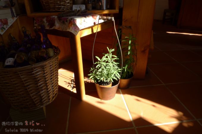 P1070404.jpg P1070404.jpg