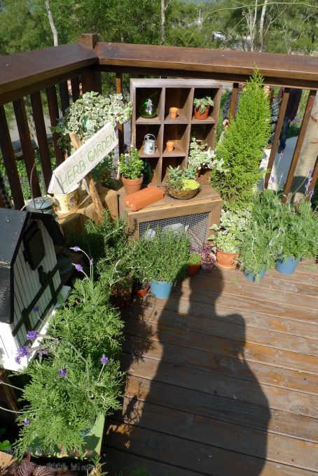 P1070413.jpg P1070413.jpg