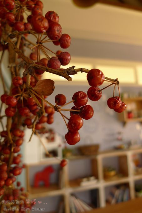 P1070436.jpg P1070436.jpg