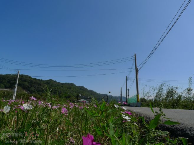 P1070517.jpg P1070517.jpg