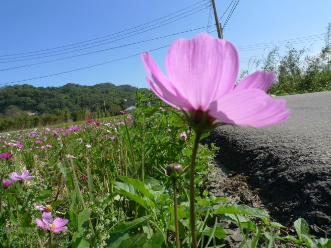 P1070521.jpg P1070521.jpg