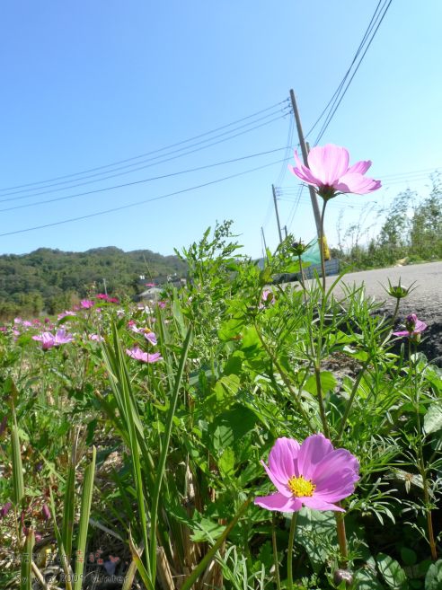 P1070525.jpg P1070525.jpg