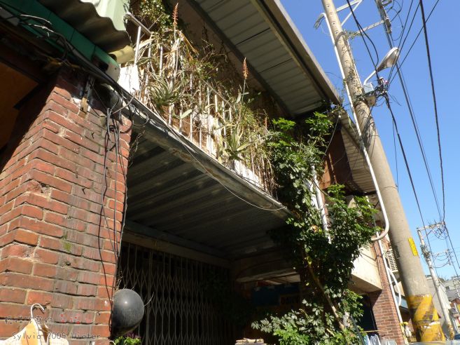 P1070562.jpg P1070562.jpg