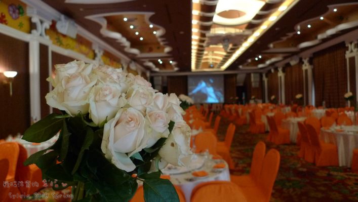 P1090952.jpg P1090952.jpg